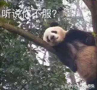 丁酉是什么火,丁酉是不是就是丁火