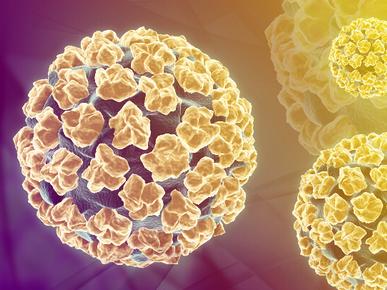 阴道还能感冒？朝阳医院专家来给你扫盲！