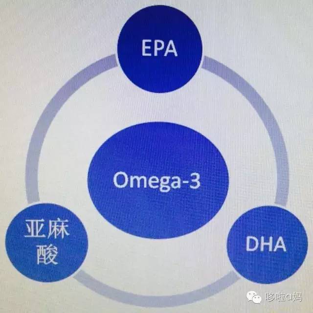 怎样的鱼油才是好的鱼油,全家健康营养补充