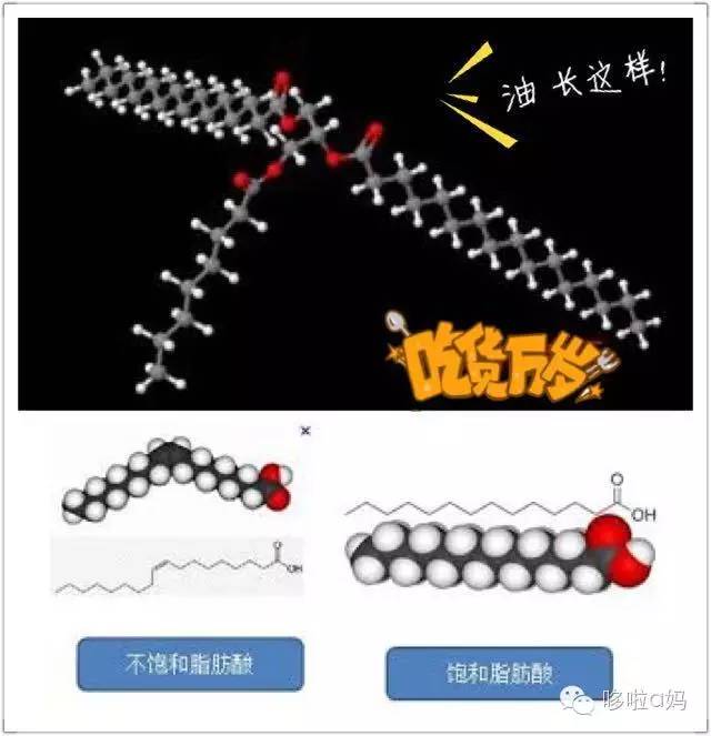 怎样的鱼油才是好的鱼油,全家健康营养补充