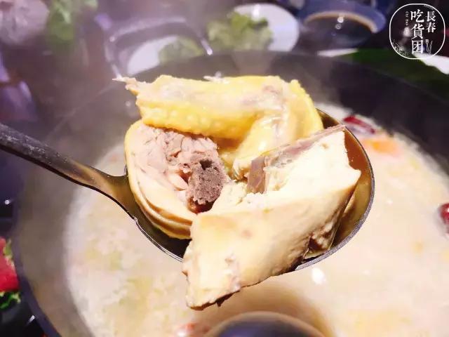 2017称霸长春的8只鸡，你见识过多少只？