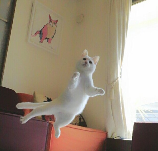 春天泉水英语,春天的泉水里有一个弹簧