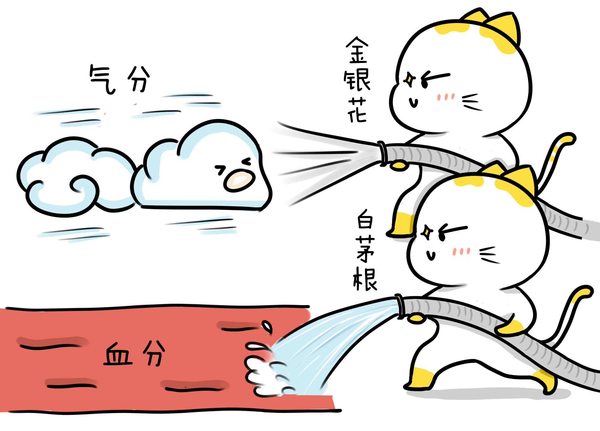 几种你没听过，但值得家中常备的中药丨苏叶猫漫画中医