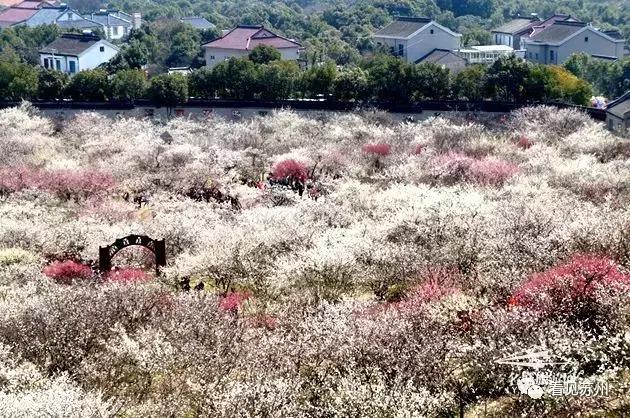 醉美苏州好去处太湖吴中,苏州太湖边哪里最好看攻略