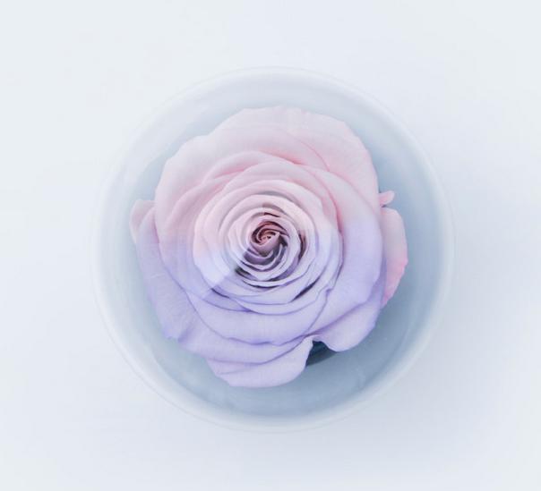 chanel香奈儿圣诞巧克力特别款,chanel香奈儿折扣价