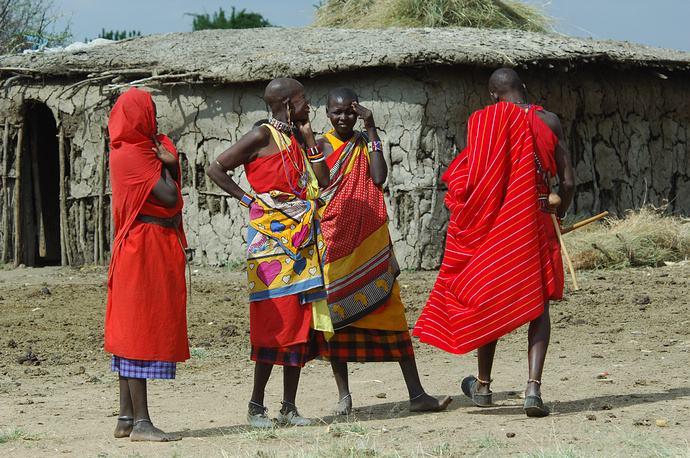 未解之谜，非洲人为什么不吃狮子