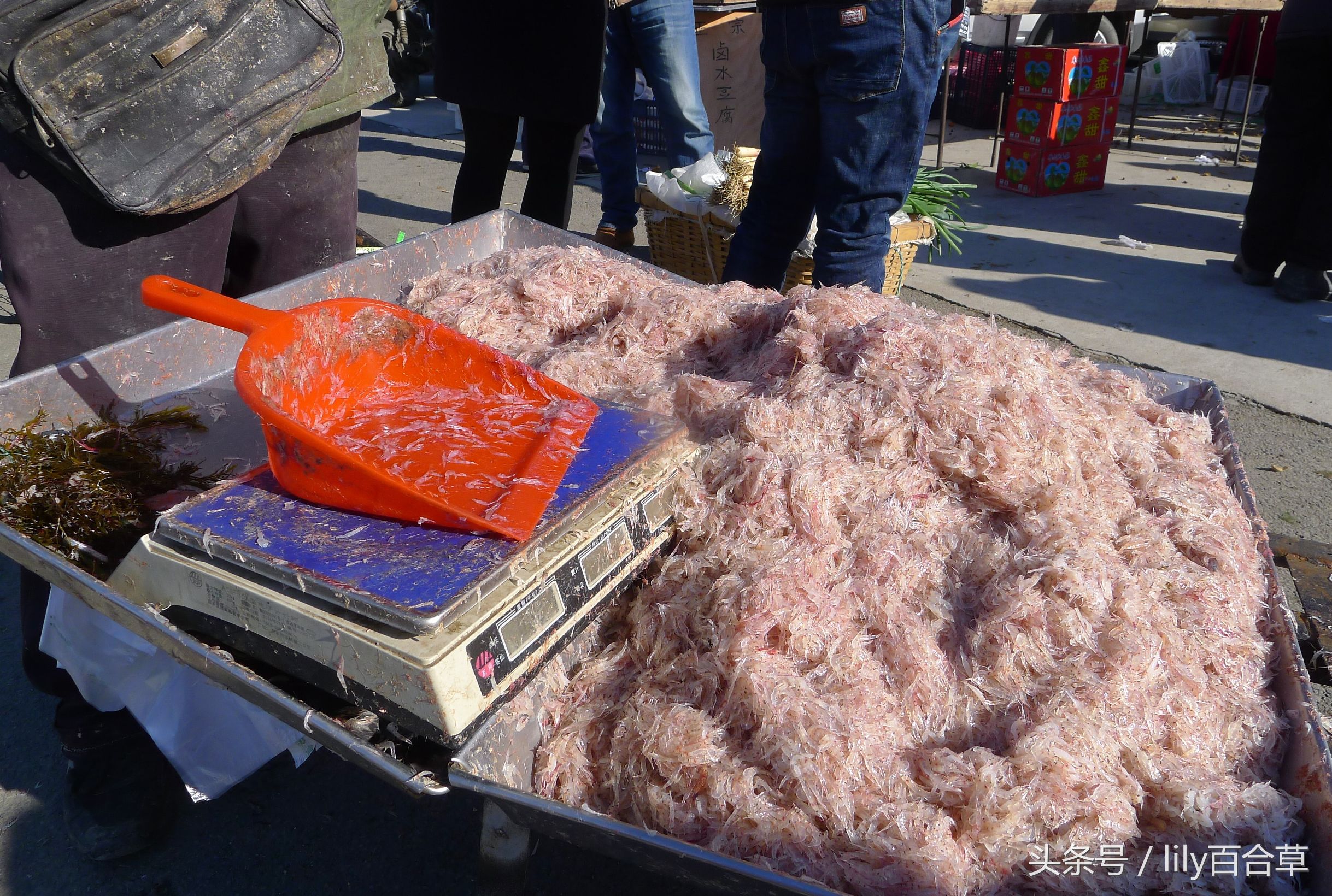 吃海鲜适合带什么,回家路上可以带海鲜吗