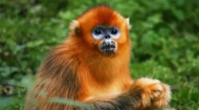 推荐西安周边一日游的绝佳去处,西安适合周末全家游玩的地方