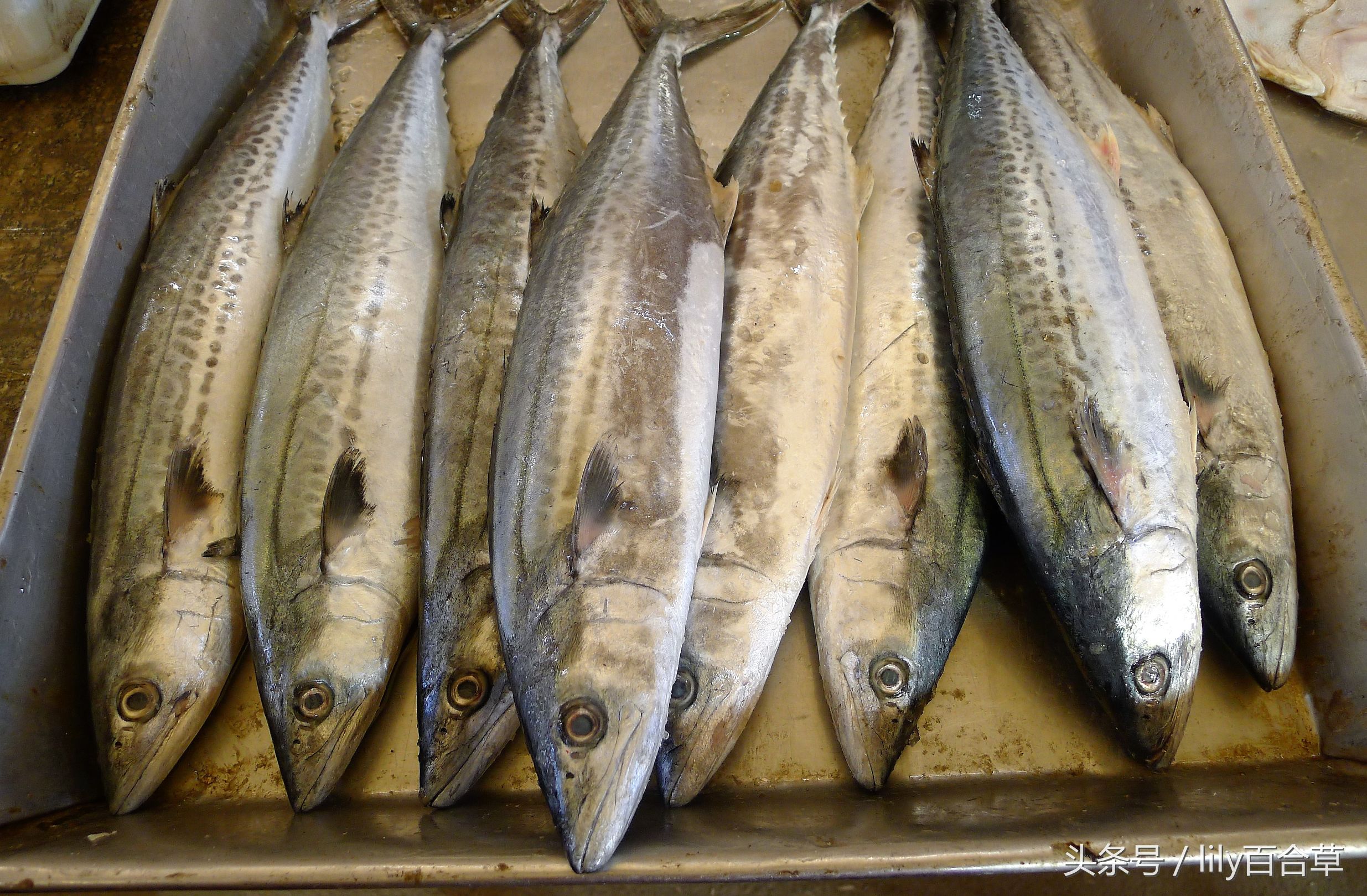 吃海鲜适合带什么,回家路上可以带海鲜吗