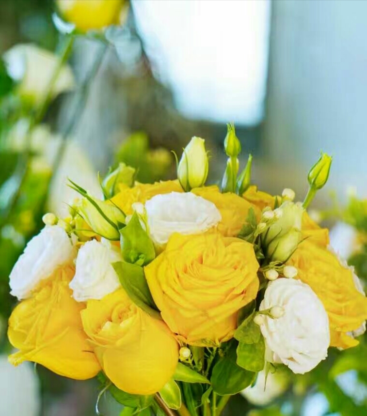 玫瑰集爱与美于一身,集爱与美于一身的玫瑰花