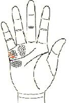 五观堂讲解手相,手相宝库第四讲