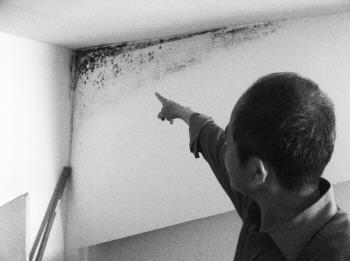 墙壁发霉发黑该怎么处理,墙壁黑色发霉怎么办