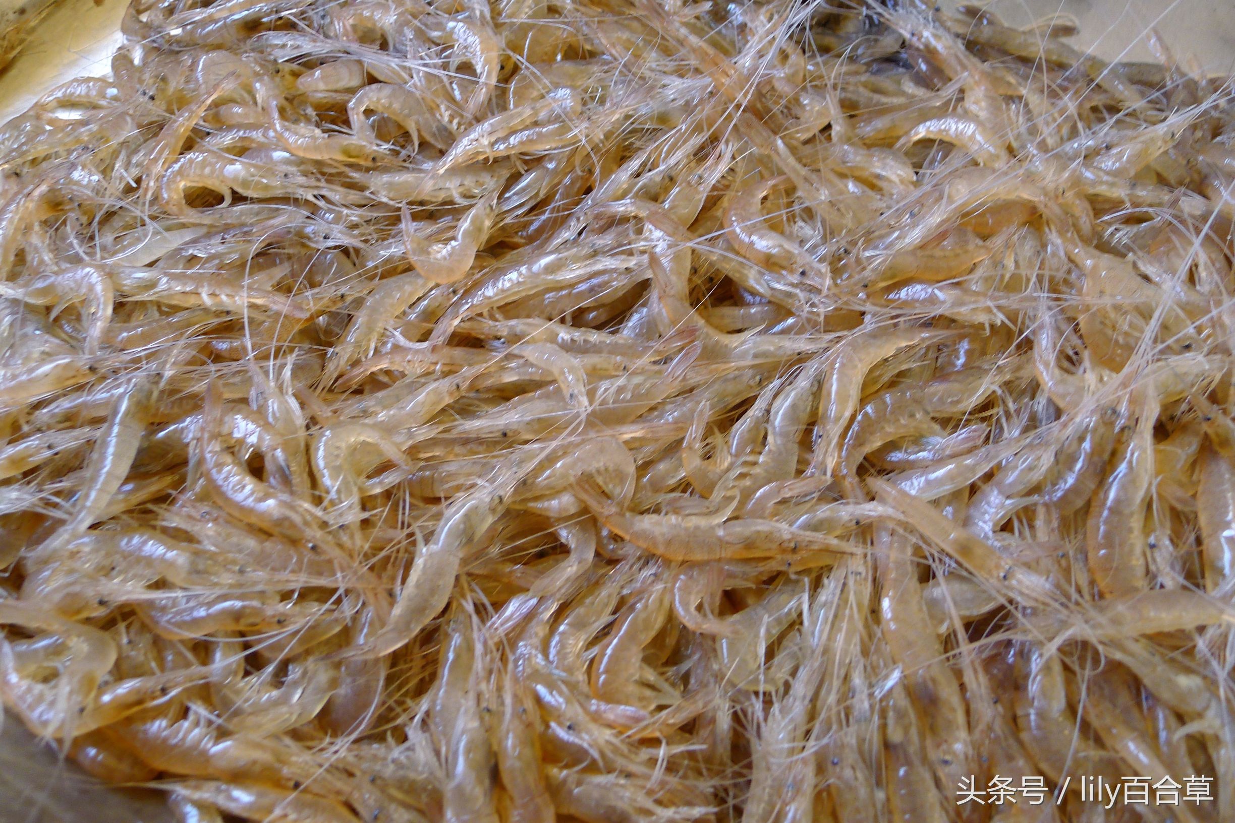 哪些海鲜可以带回家,回家路上可以带海鲜吗