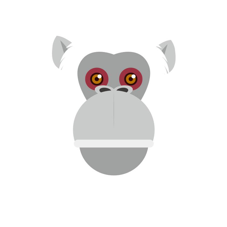 2016年是什么猴,2016年是属什么猴