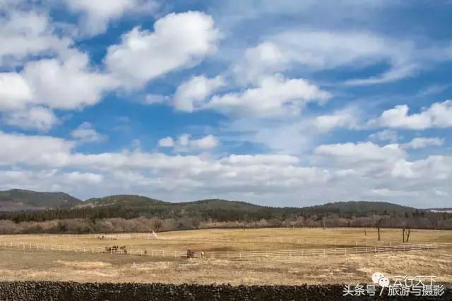 济州岛东线一日游公交攻略,济州岛步行街攻略