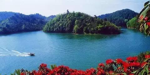 贵州各个县产值排名,贵州各县区生产总值