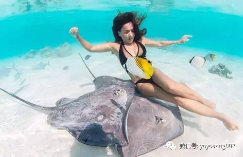 不同水温如何喂锦鲤,不同鱼的养法和技巧