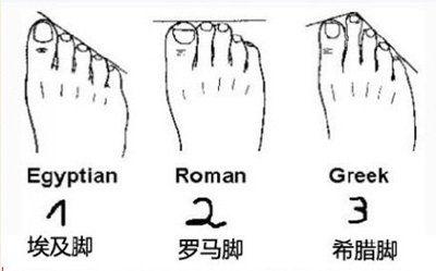 鍚堣剼鐨勬墠鏄渶濂界殑,鍚堣剼鐨勯瀷瀛愯兘绌垮悧