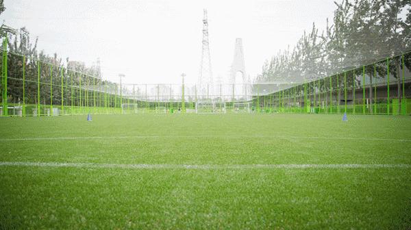 青鸟足球青训,青鸟足球训练营