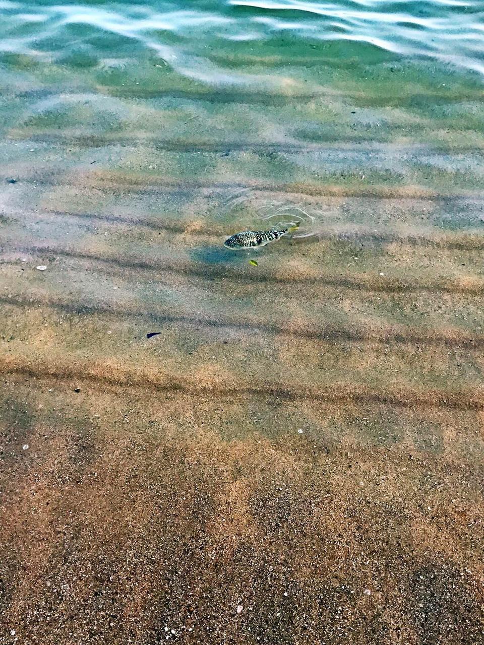 萨瓦迪卡！就在KohSamui撒野吧！