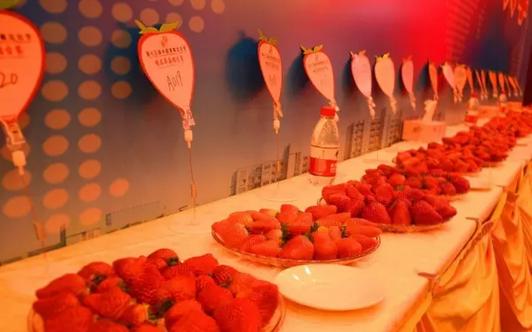 谁是草莓界的NO.1？国内外最好吃的草莓都来长丰打擂！