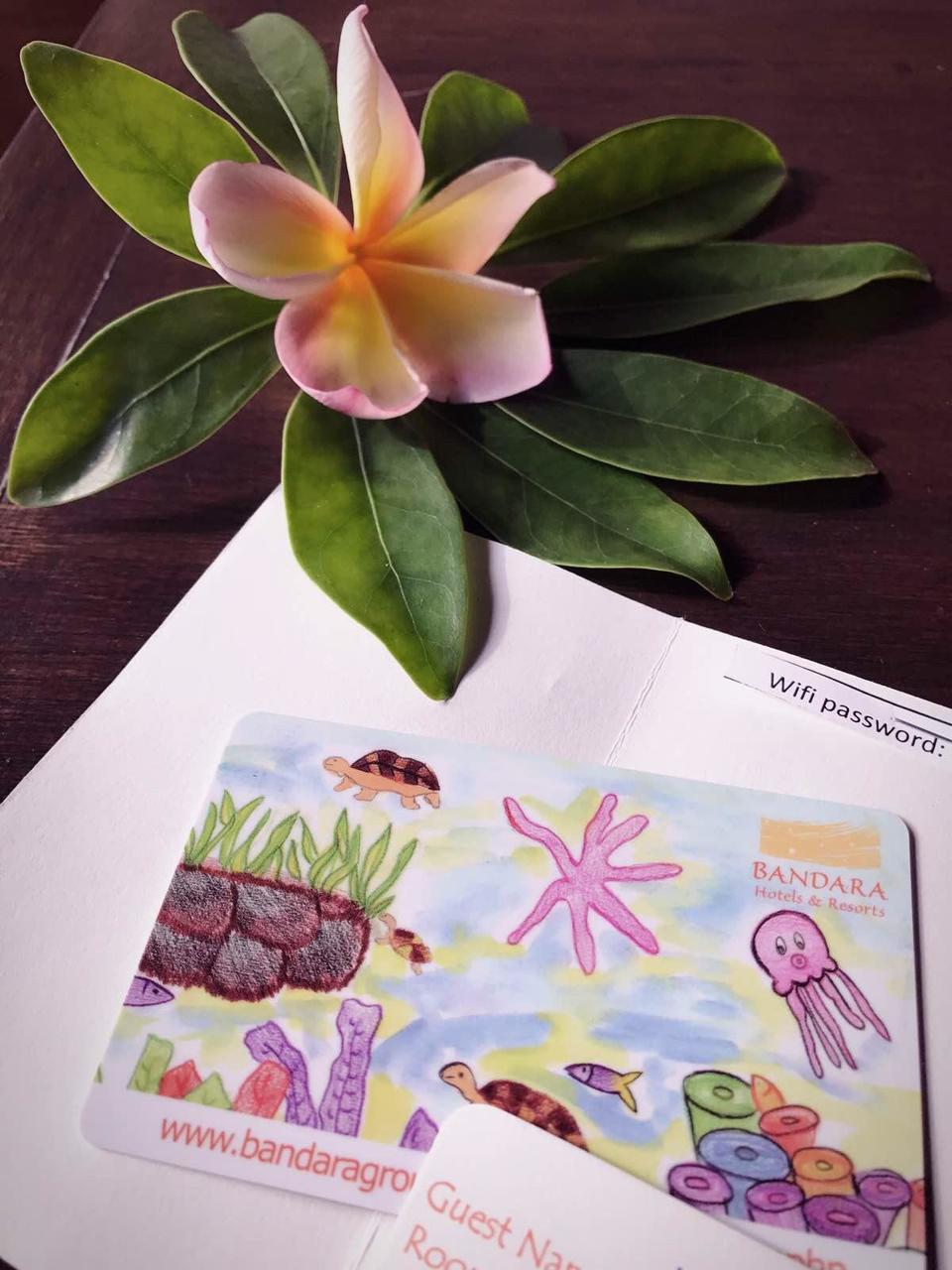 萨瓦迪卡！就在KohSamui撒野吧！