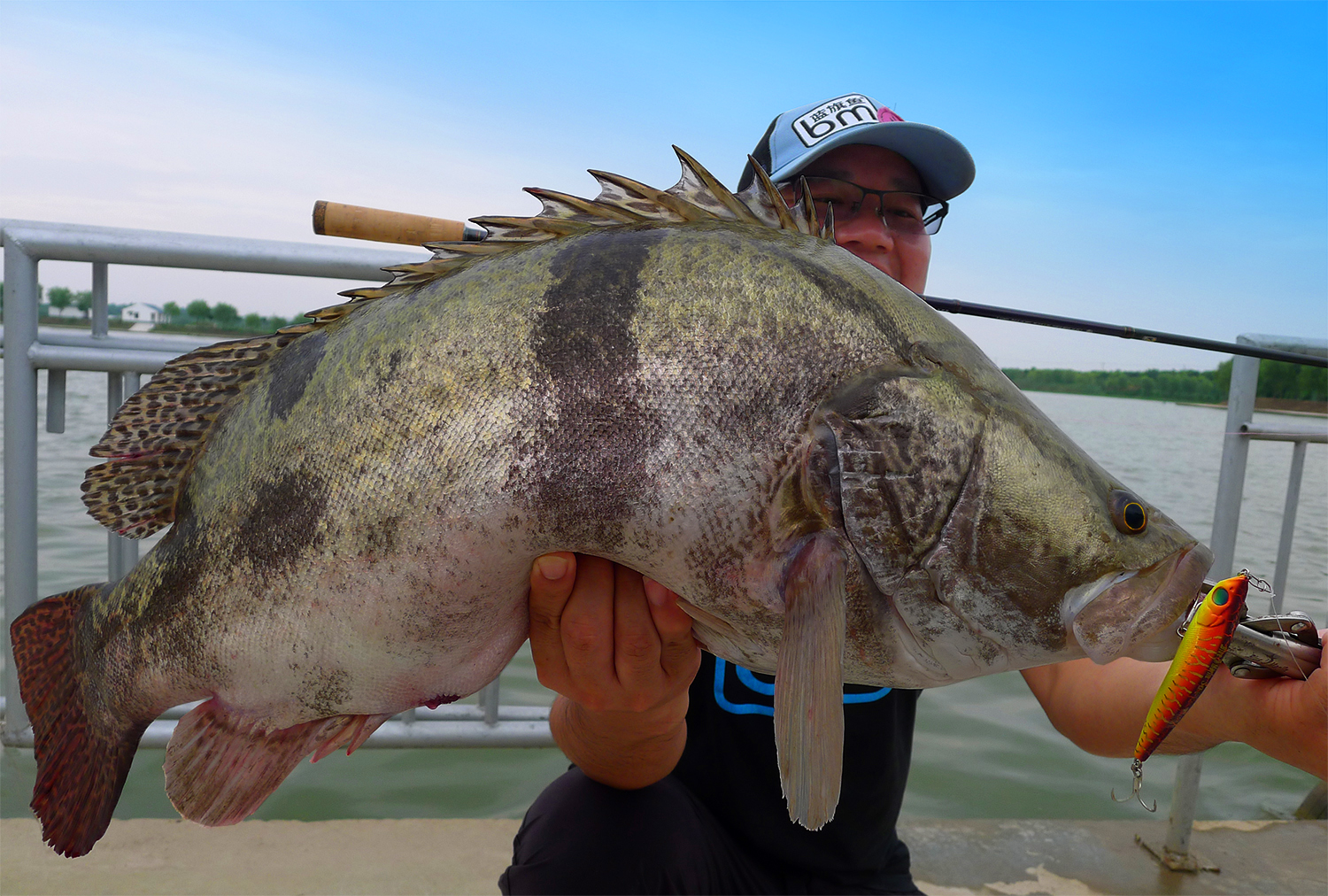 钓鱼就是享受不同种类的鱼,不一样的食肉鱼