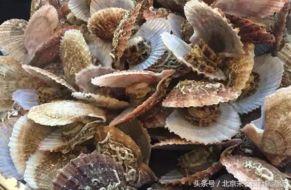 最任性的小馆,北京海鲜小馆推荐