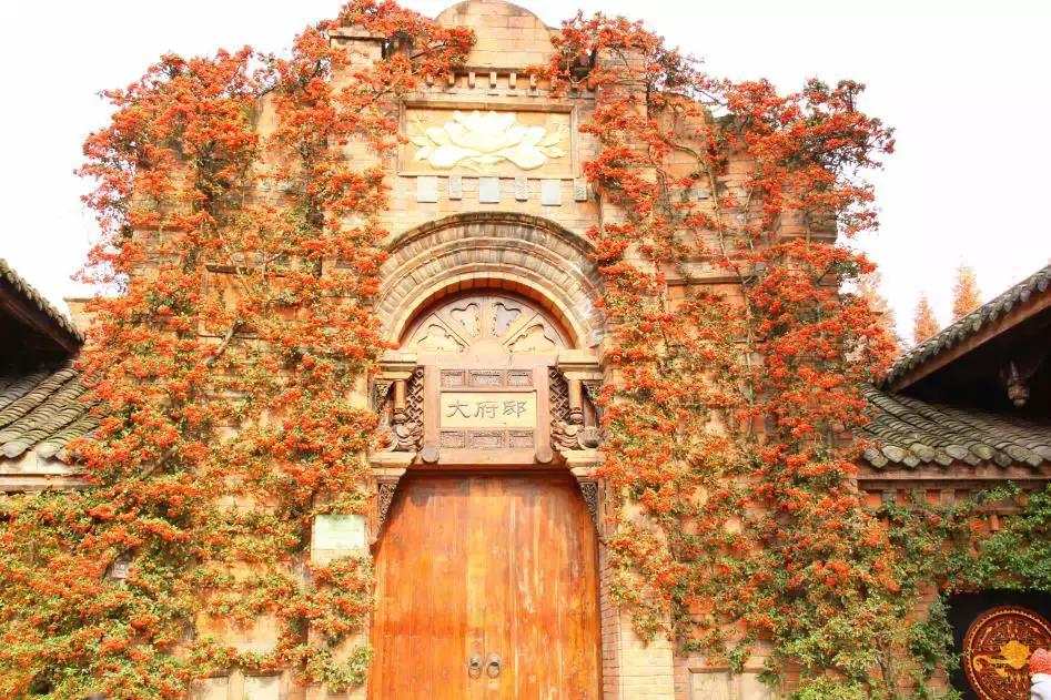 有所大学，叫标榜！逆天颜值碾压成都各大高校！