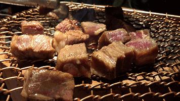 容易读错的汉字读音搞笑,奇葩汉字大全带拼音