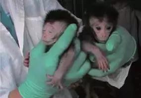 2022年中国重大科技盘点,2020年重大科学与工程