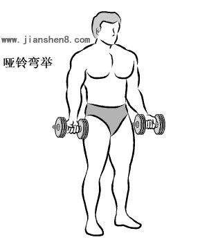 17岁高中生暑假哑铃健身计划,哑铃练全身30天新手训练计划