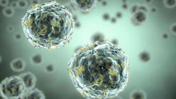 看自身免疫性疾病到哪个科室,自身免疫性疾病是先天得的吗