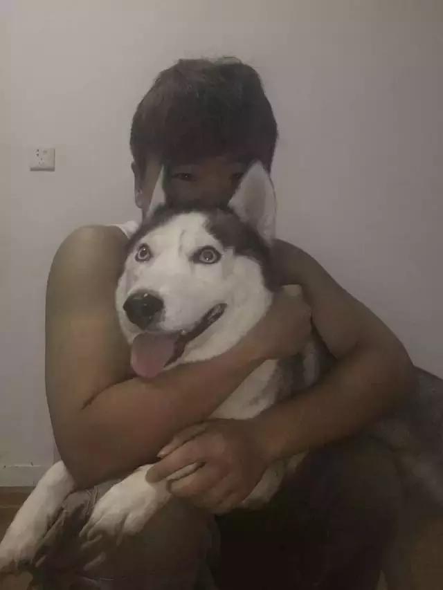 长沙宠物蜥蜴品种有哪些,别人家养的宠物蜥蜴食肉动物