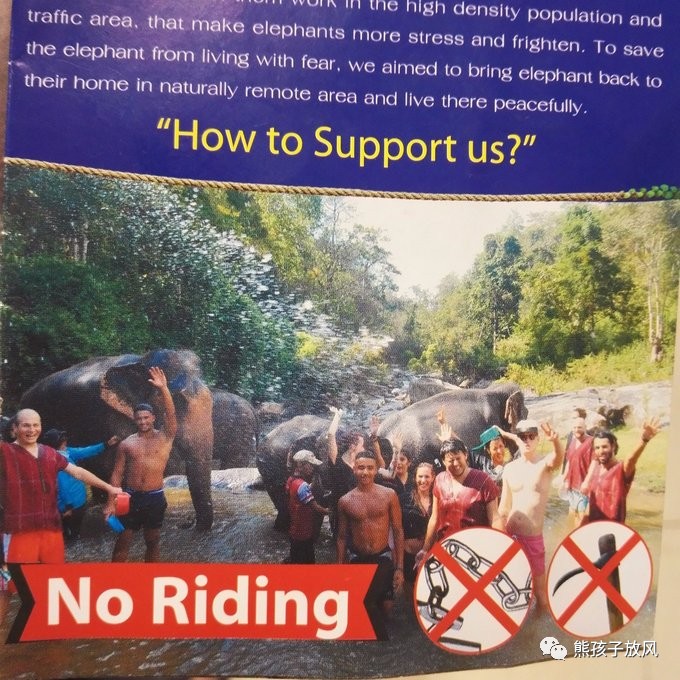 能在异国被警察抓也没谁了吧？这是我的清迈，和你去的不一样！