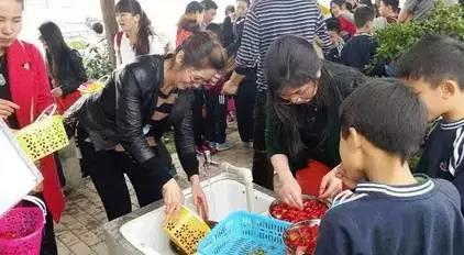 成都海棠花景区,西南最大的海棠花基地在哪里