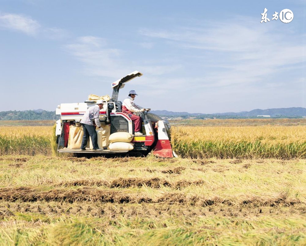 有合作社还可以办理家庭农场吗,有合作社可以申请家庭农场吗