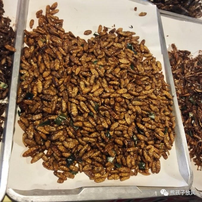 能在异国被警察抓也没谁了吧？这是我的清迈，和你去的不一样！