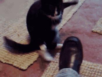 为了让你们捶胸口，我收集了所有的拳法