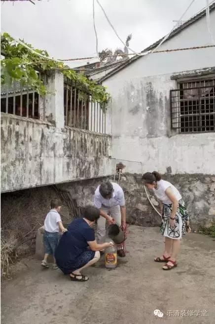 实景案例｜乐清80后作家，50万打造新世纪花园北欧文艺美家