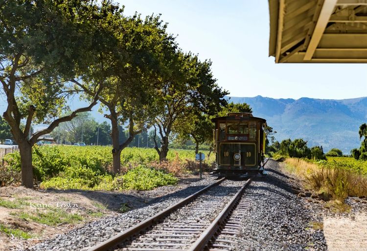 走进彩虹之国感受南非独特之美,彩虹之国南非