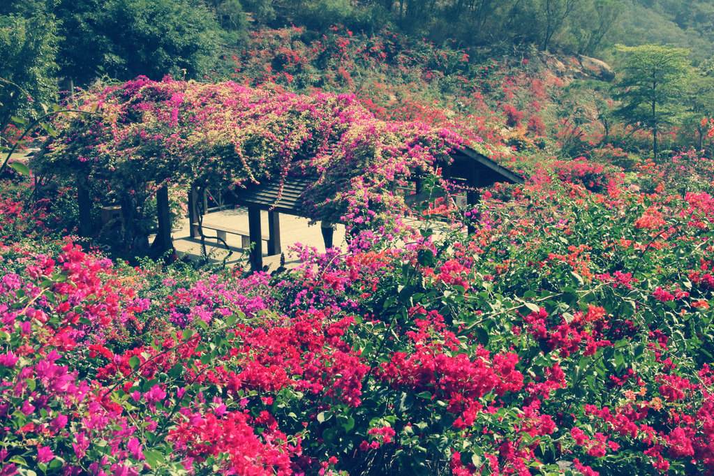 厦门慢节奏攻略,厦门慢生活攻略