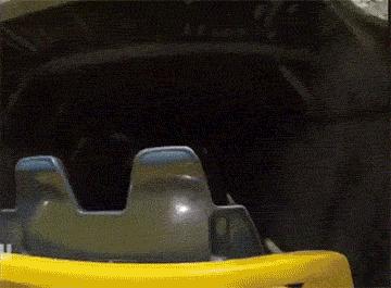 皮皮虾的新技能，随随便便做500个仰卧起坐