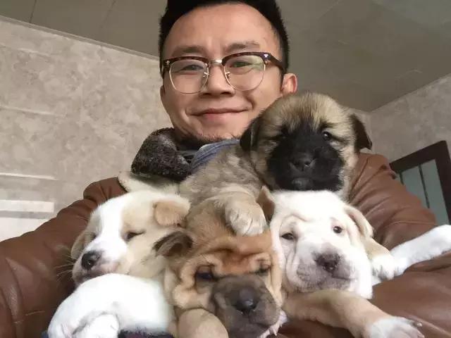 长沙人爱养什么品种的鸟,长沙人为什么喜欢养乌龟