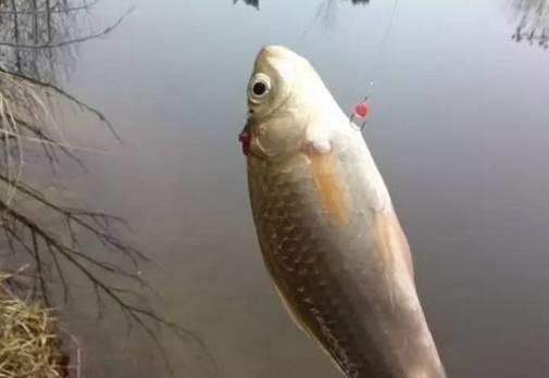 钓鱼竿卡节怎么办,鱼竿卡节什么处理最好呢