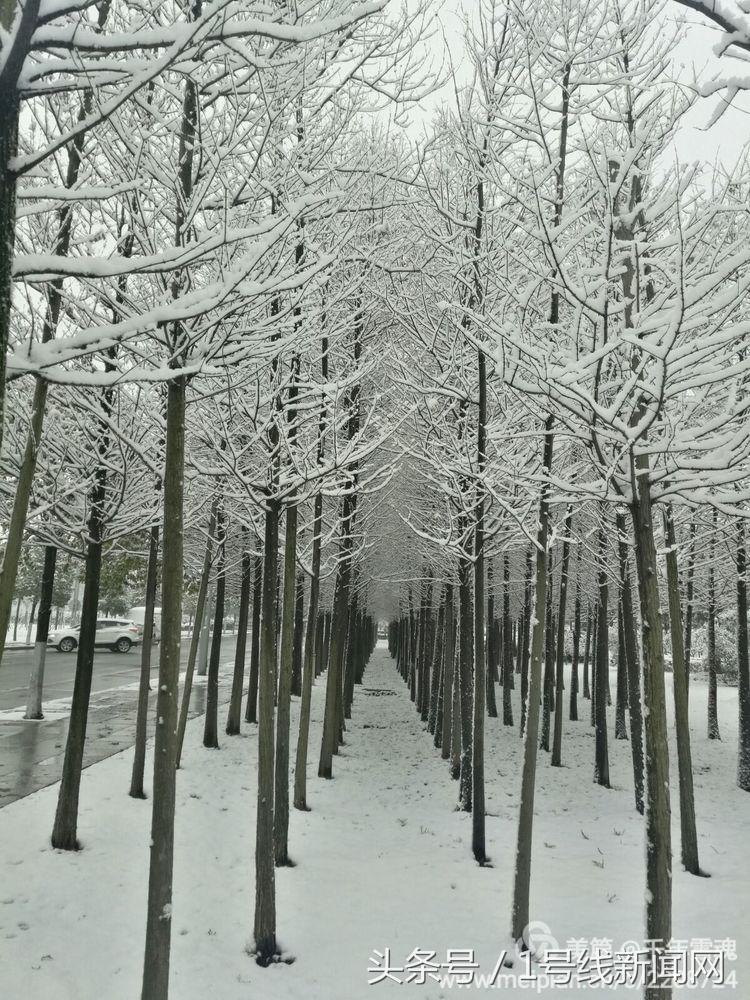 永远的余子店——文/刘宏冰