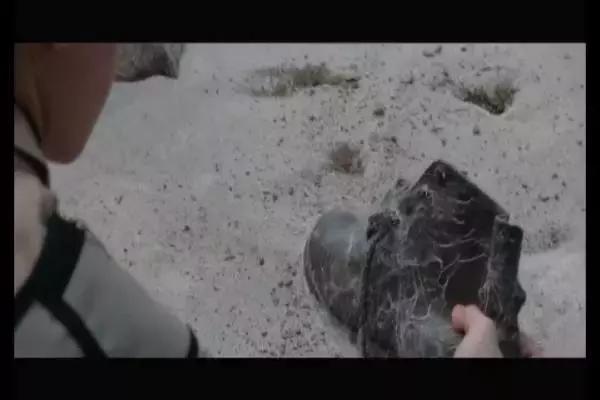 这是你们要的大长腿，备好纸巾，准备上下其手吧