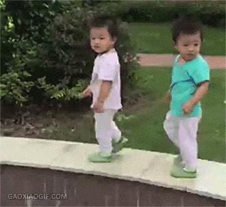 爆笑虫子和螳螂,螳螂昆虫搞笑视频