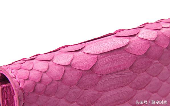 无与伦比皮肤,世界上最贵的蛇皮是什么蛇皮