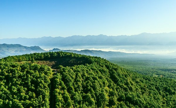 腾冲火山和热海哪个更值得去,去看腾冲火山